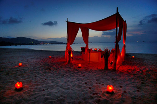 ��������ׯ